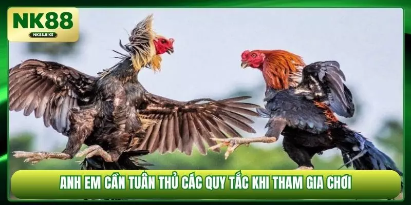 Anh em cần tuân thủ các quy tắc khi tham gia chơi