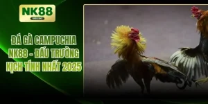 Đá Gà Campuchia NK88 - Đấu Trường Kịch Tính Nhất 2025